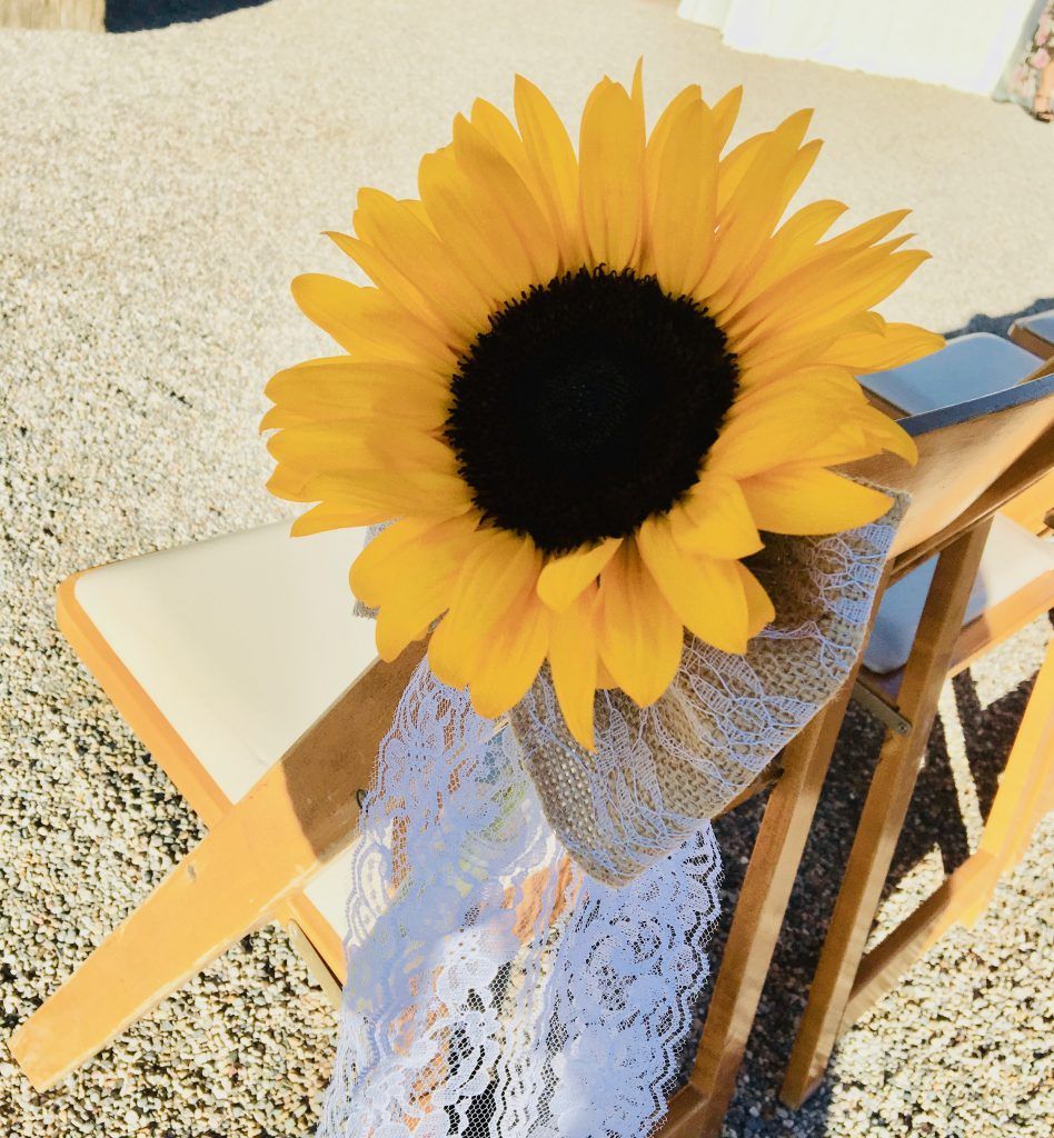 A sunflower is sitting on a wooden chair
