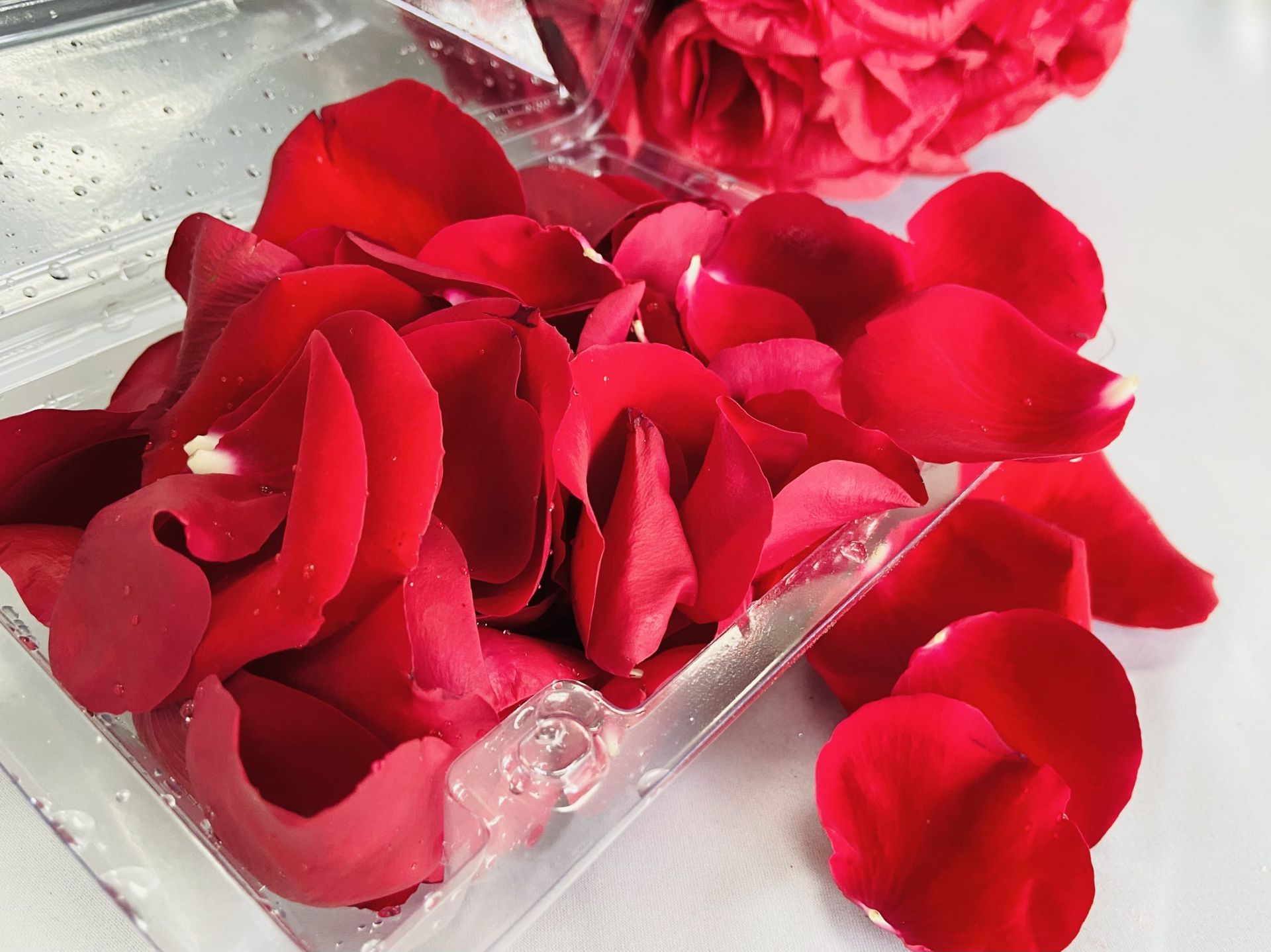 Red rose petals in a clear plastic container