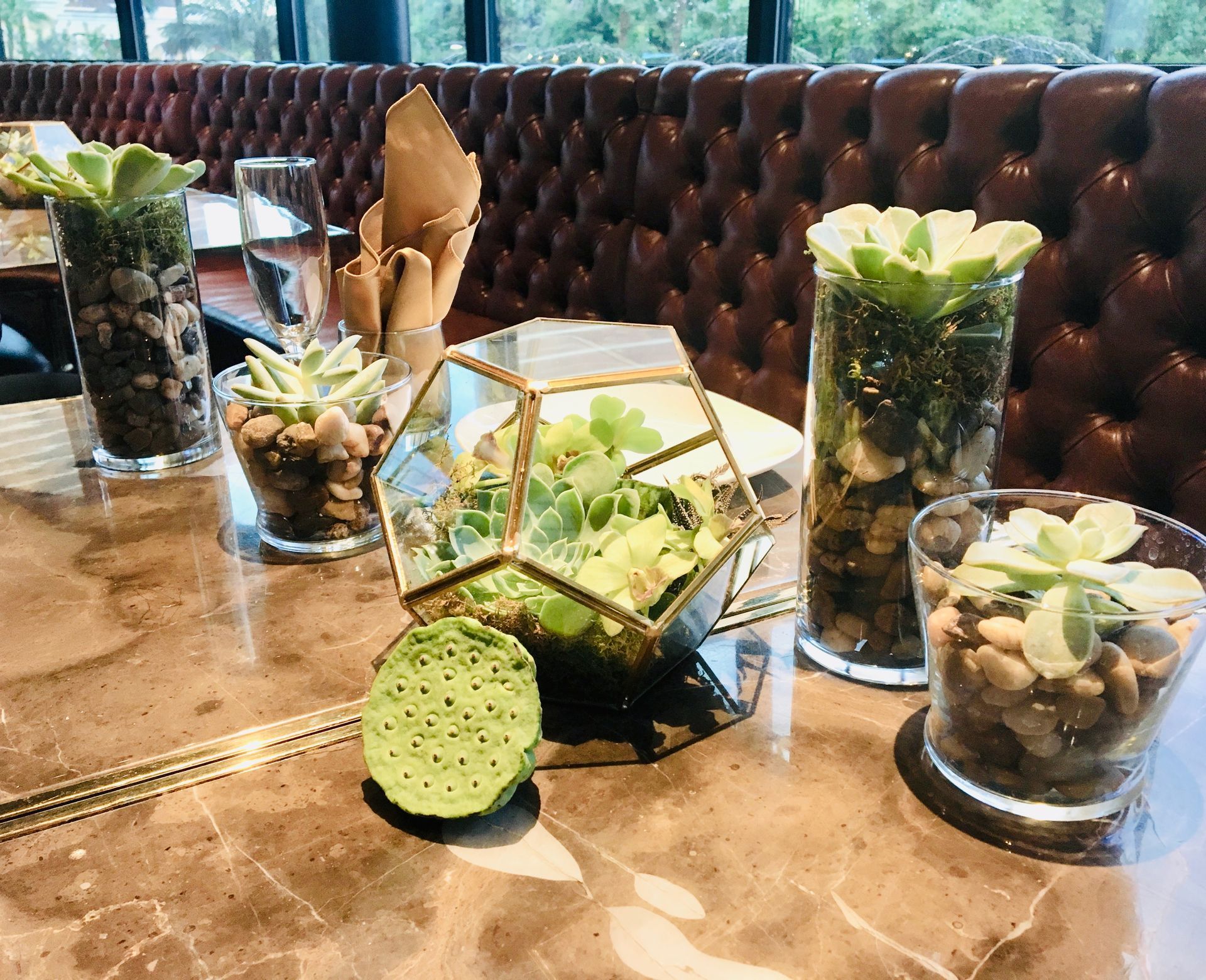 A table with a lot of plants in vases on it