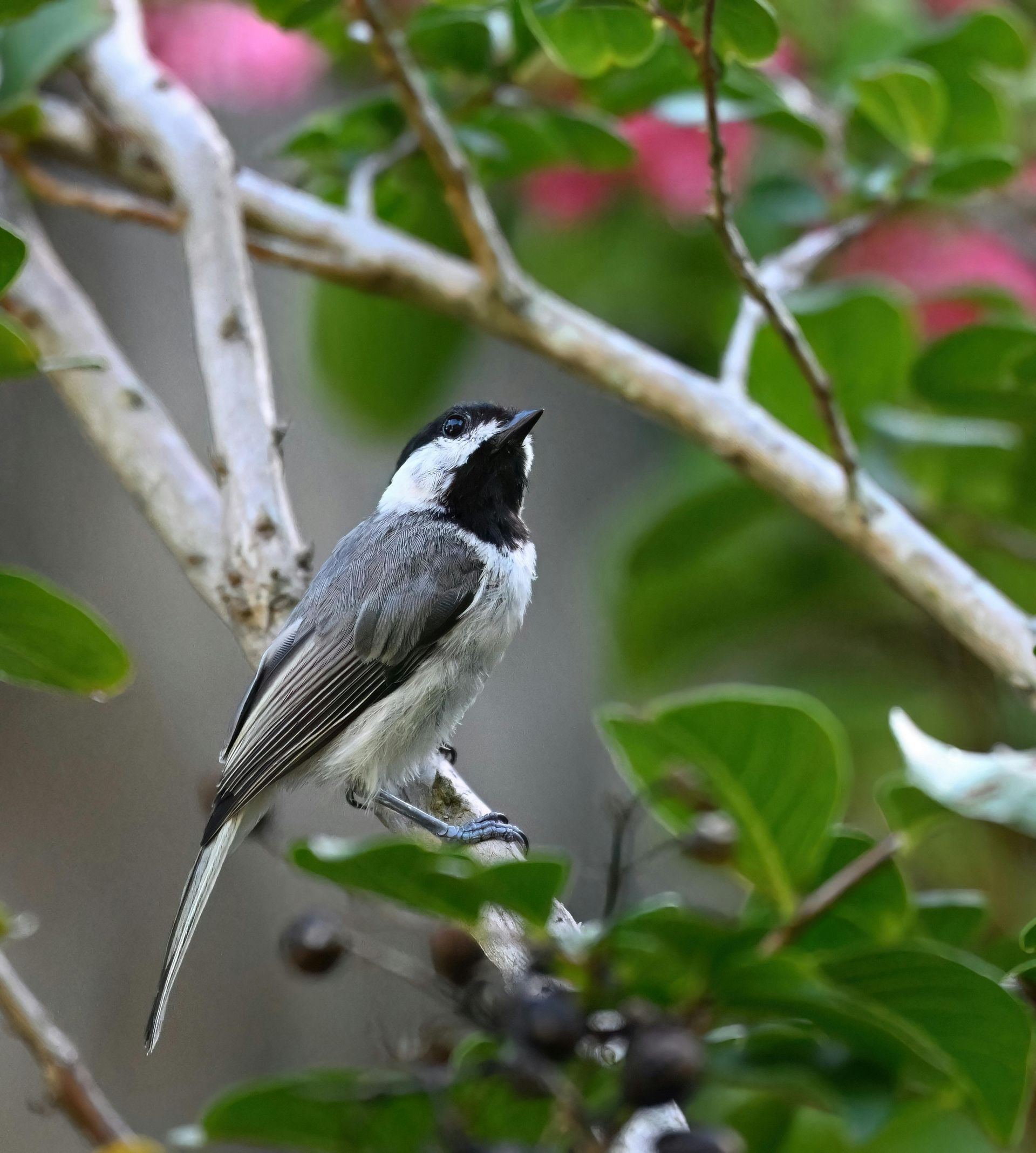 A close up of a canyon with a dark background.