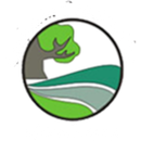 Landscape Design in Olympia, WA | Benjamin Landscaping & Construction