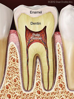 Healthy tooth — Wyoming, MI — Dental South