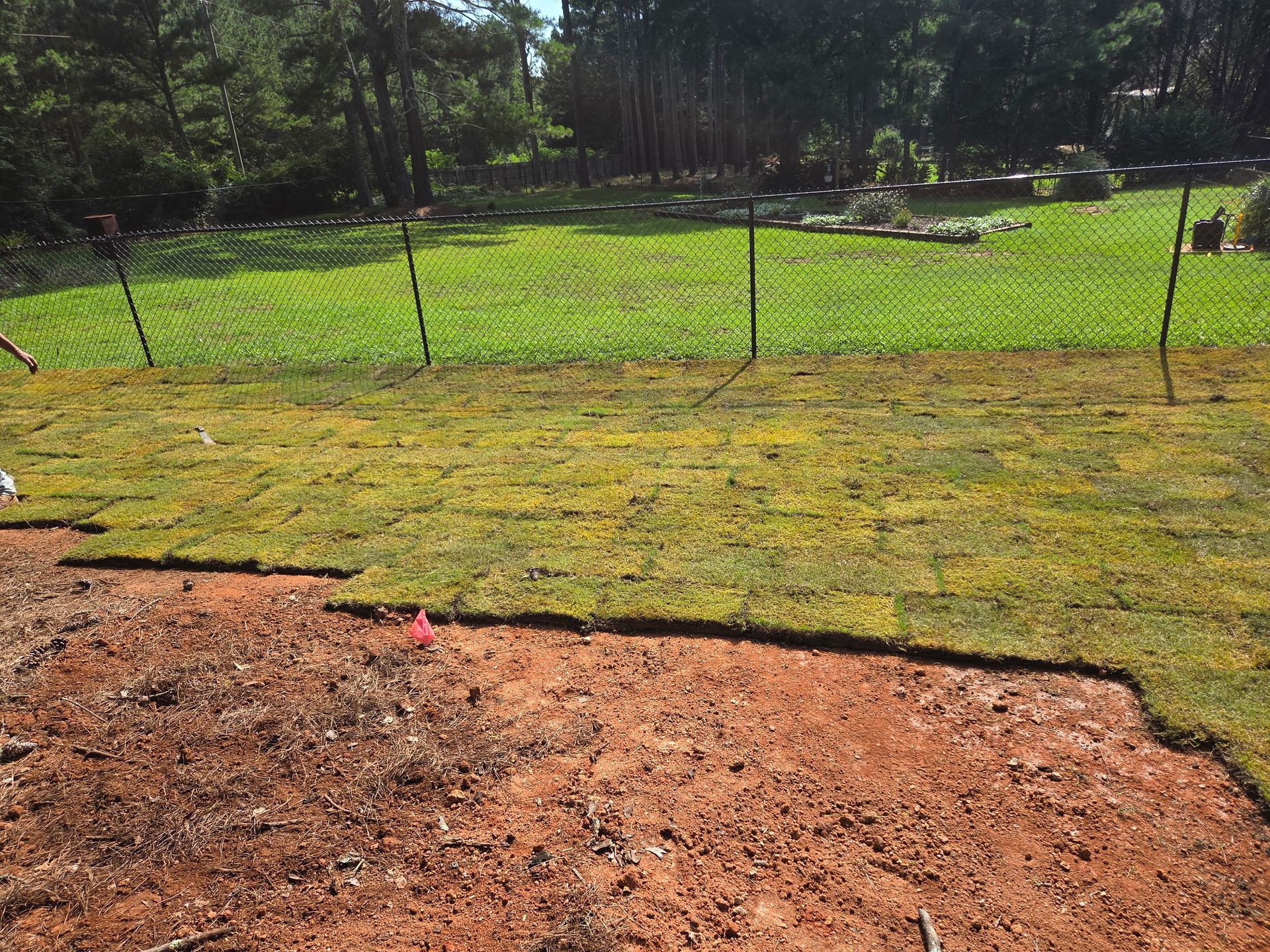 Laying sod in a yard; brown soil in foreground, green grass and fence in background, sunny day.