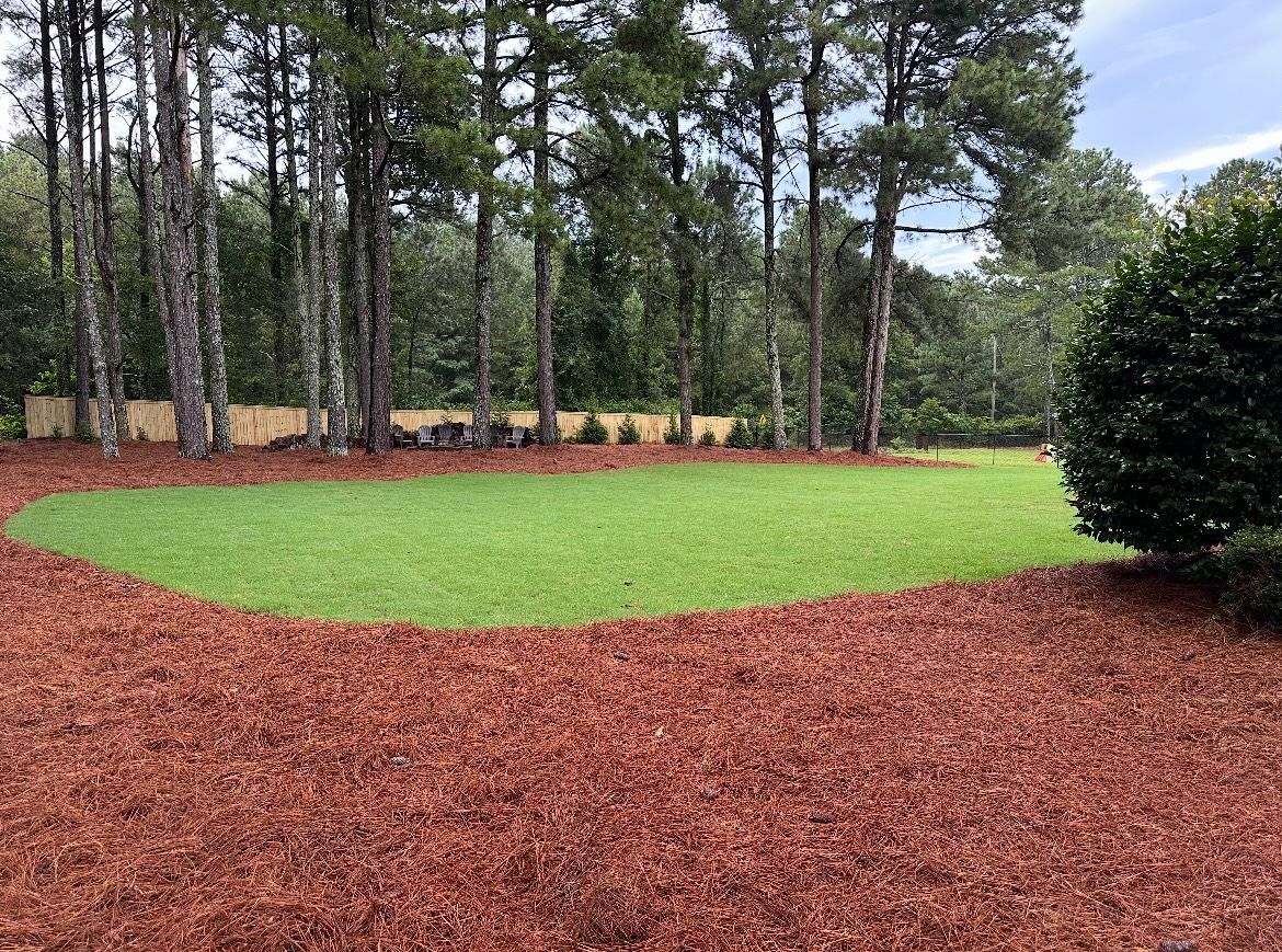Man laying sod in a sunny yard; house and trees in the background.