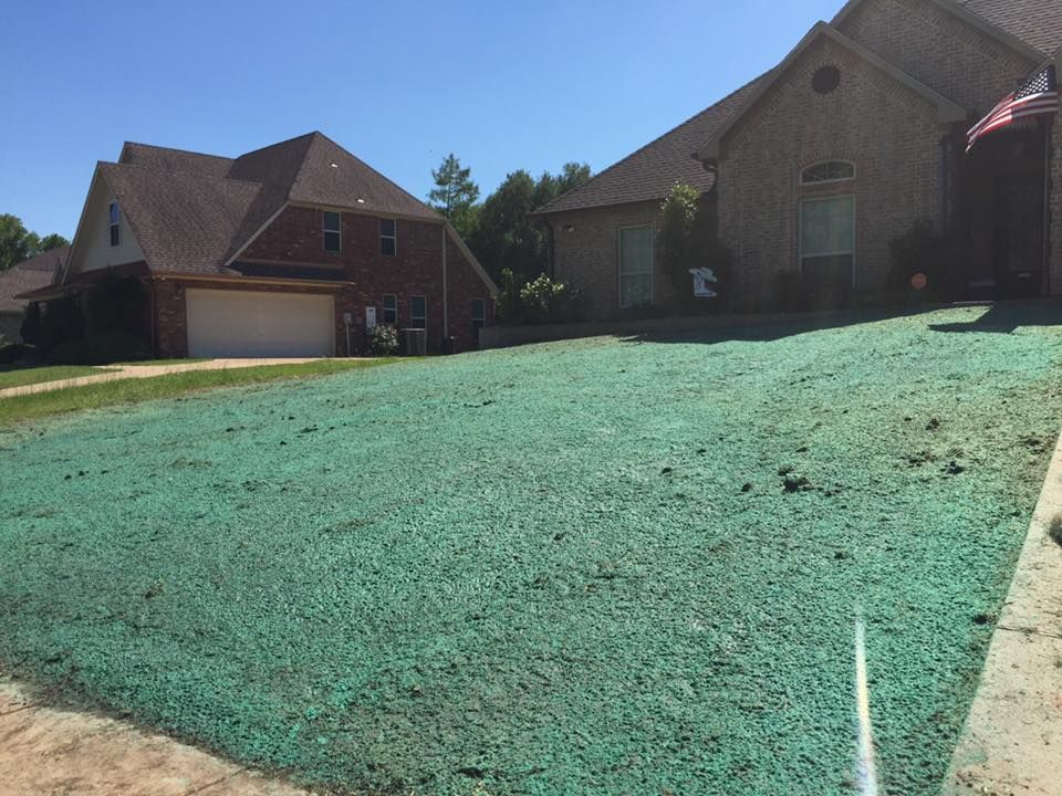 Newly seeded lawn in front of two-story brick houses, covered in green mulch, sunny day.