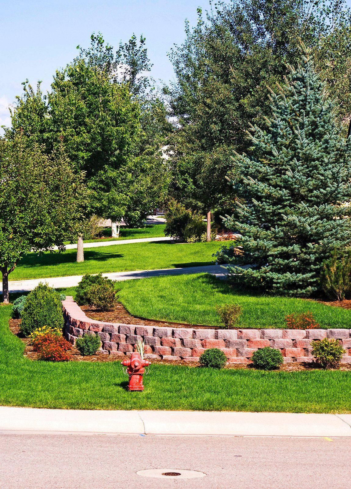 Green lawn with brick retaining wall, trees, and blue spruce. A red fire hydrant sits on the lawn.