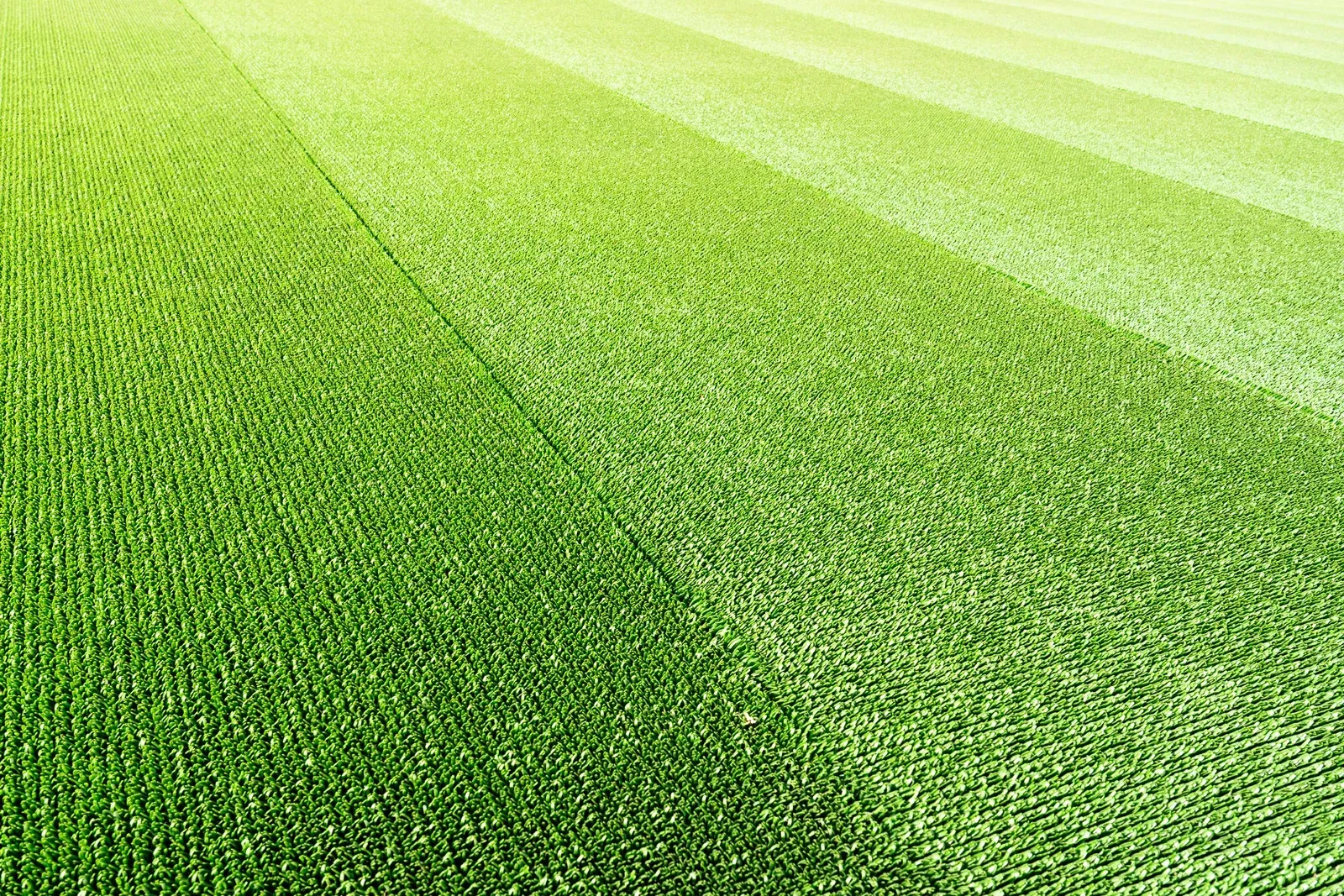 Green field with alternating light and dark stripes.