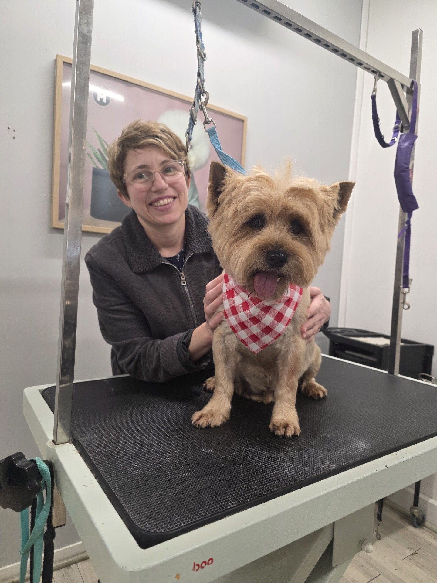 Woman smiling, petting a small dog with a red and white checkered bandana on a grooming table.