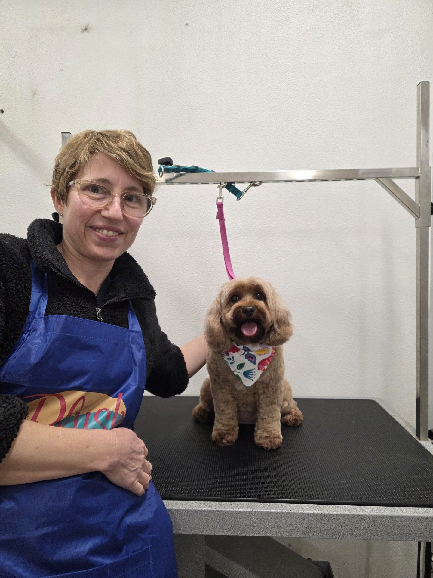 Groomer smiles next to a brown dog wearing a bandana on a grooming table.