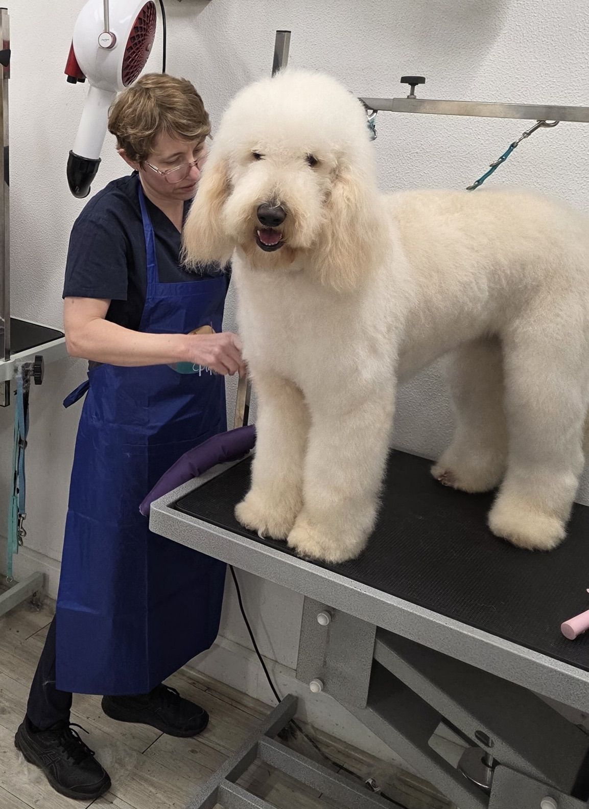 A groomer trims a fluffy, cream-colored dog on a grooming table. The dog stands patiently.