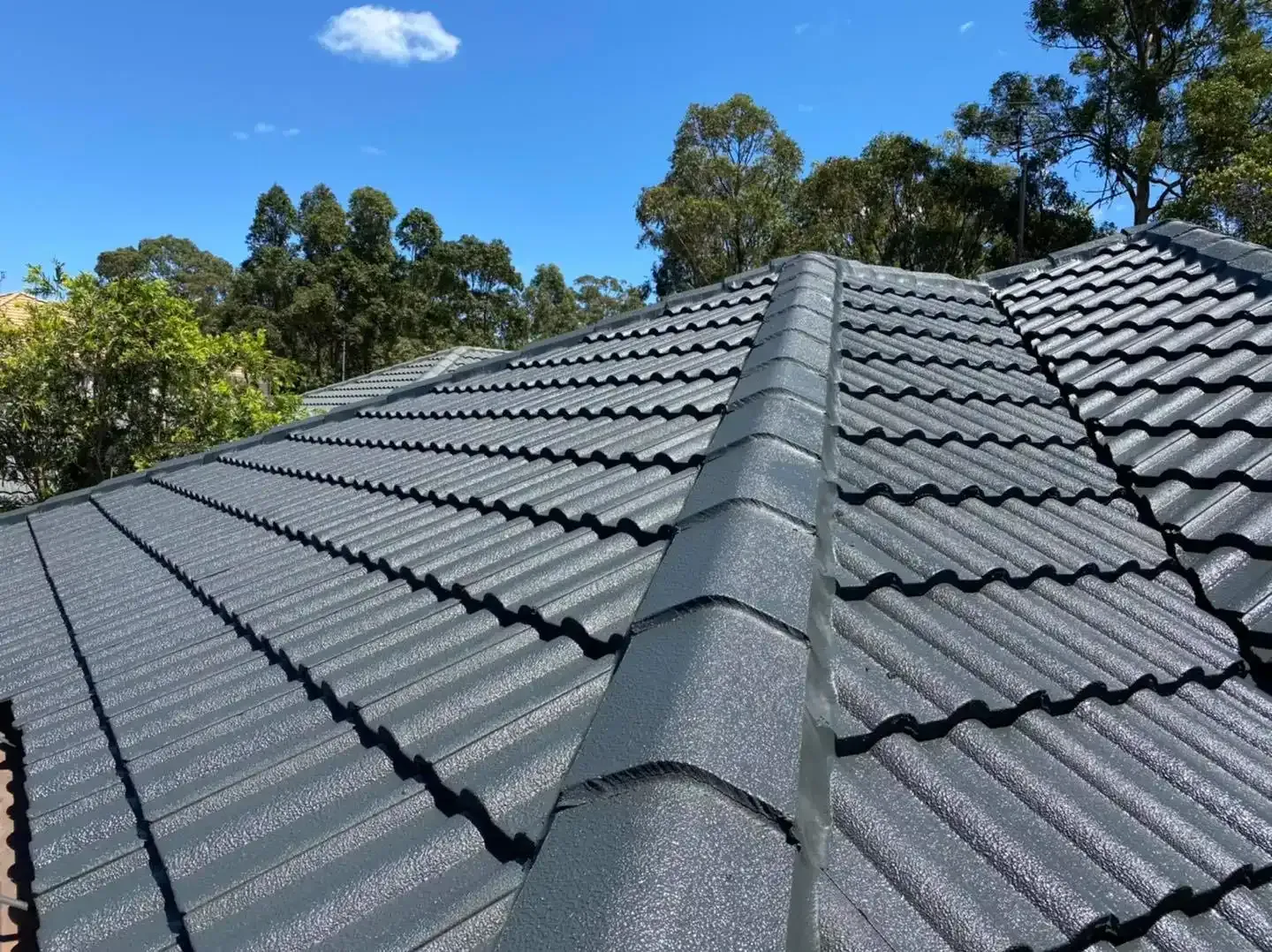 Dark gray tiled roof under a bright blue sky, trees in the background. — SEQ Roofing & Painting in Nerang, QLD