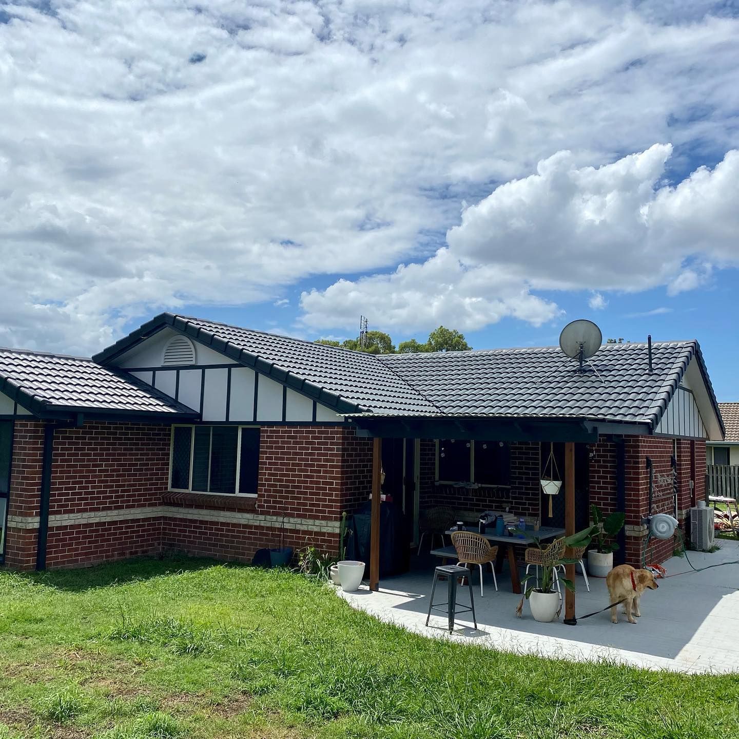 Brick House With Dark Roof, Patio, and a Dog Running on a Concrete Slab — SEQ Roofing & Painting in Isle of Capri, QLD