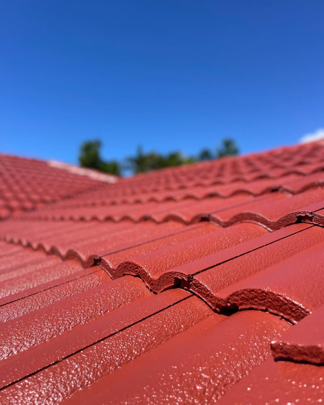 Red tiled roof against a clear blue sky. — SEQ Roof Repaints In Jimboomba, QLD