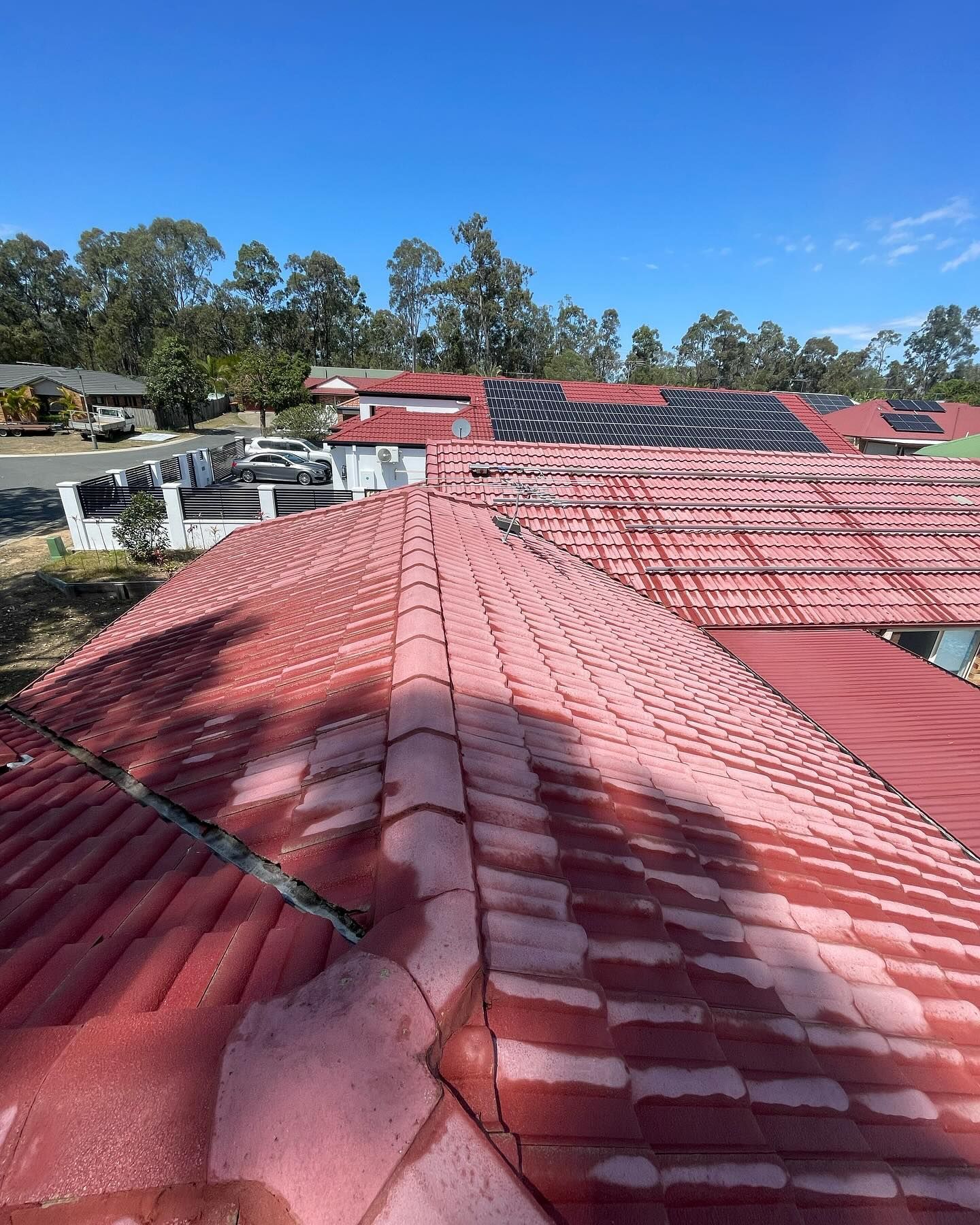 Red Tiled Roof With Discoloration Under a Clear Blue Sky — SEQ Roofing & Painting in Carrara, QLD