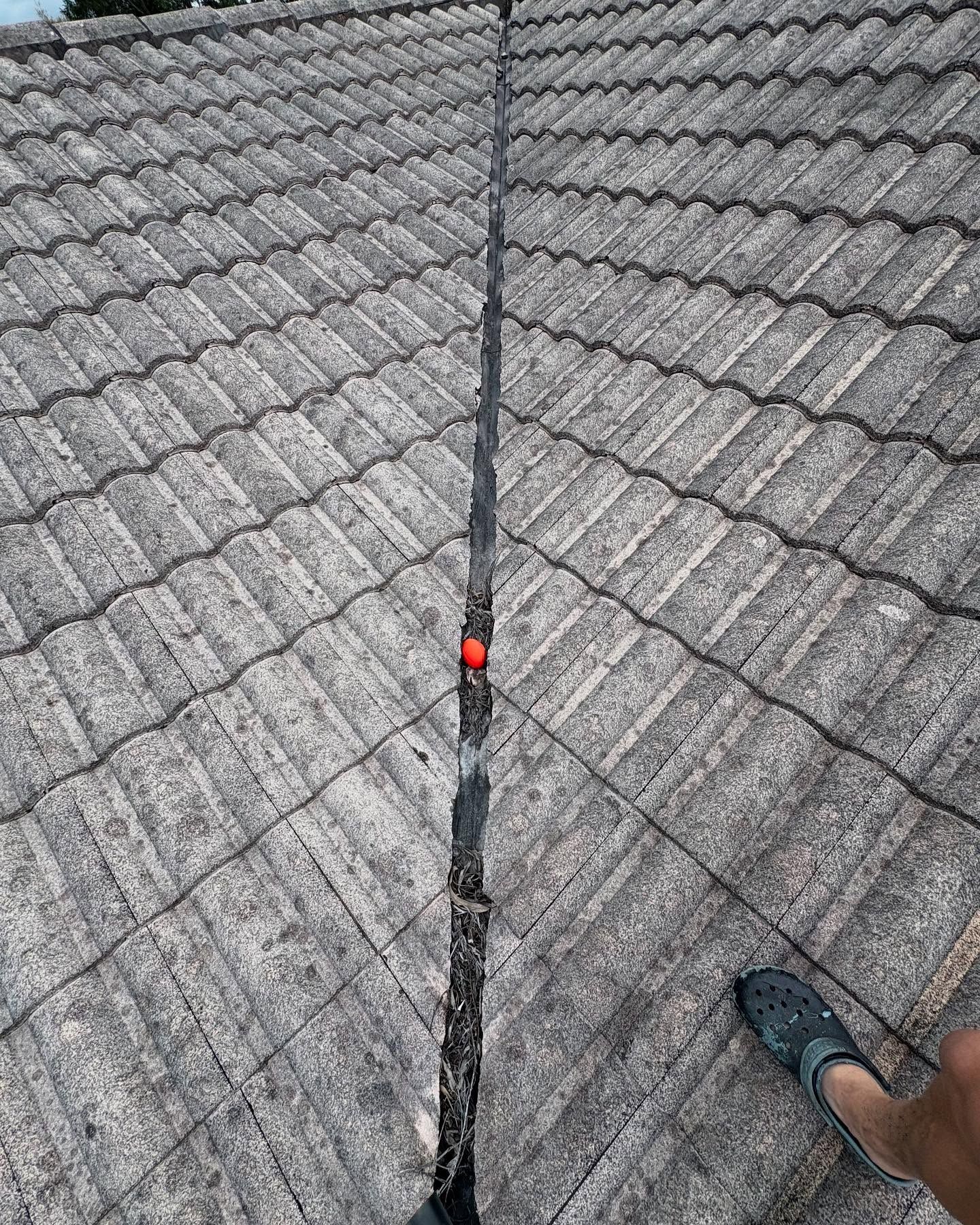Close-Up of A Grey Tiled Roof, a Red Ball Sits in The Dark Seam — SEQ Roof Repaints In Nerang, QLD