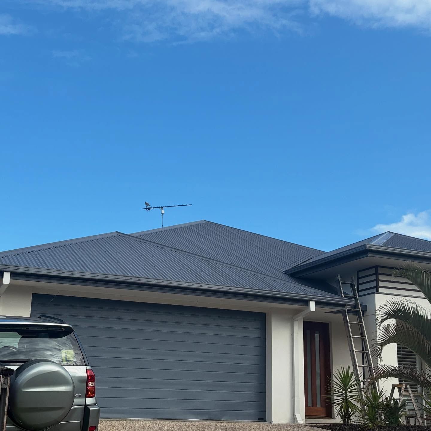 Blue-roofed house with grey garage door and SUV parked in front, against a blue sky. Ladder leaned against building. — SEQ Roof Repaints In Bonogin, QLD