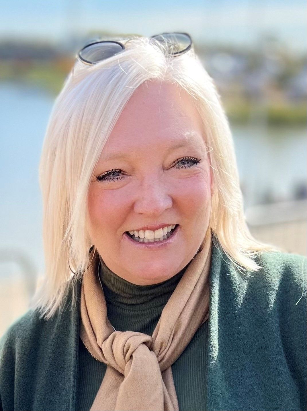 Lisa Monroe, Co-found and vice-president