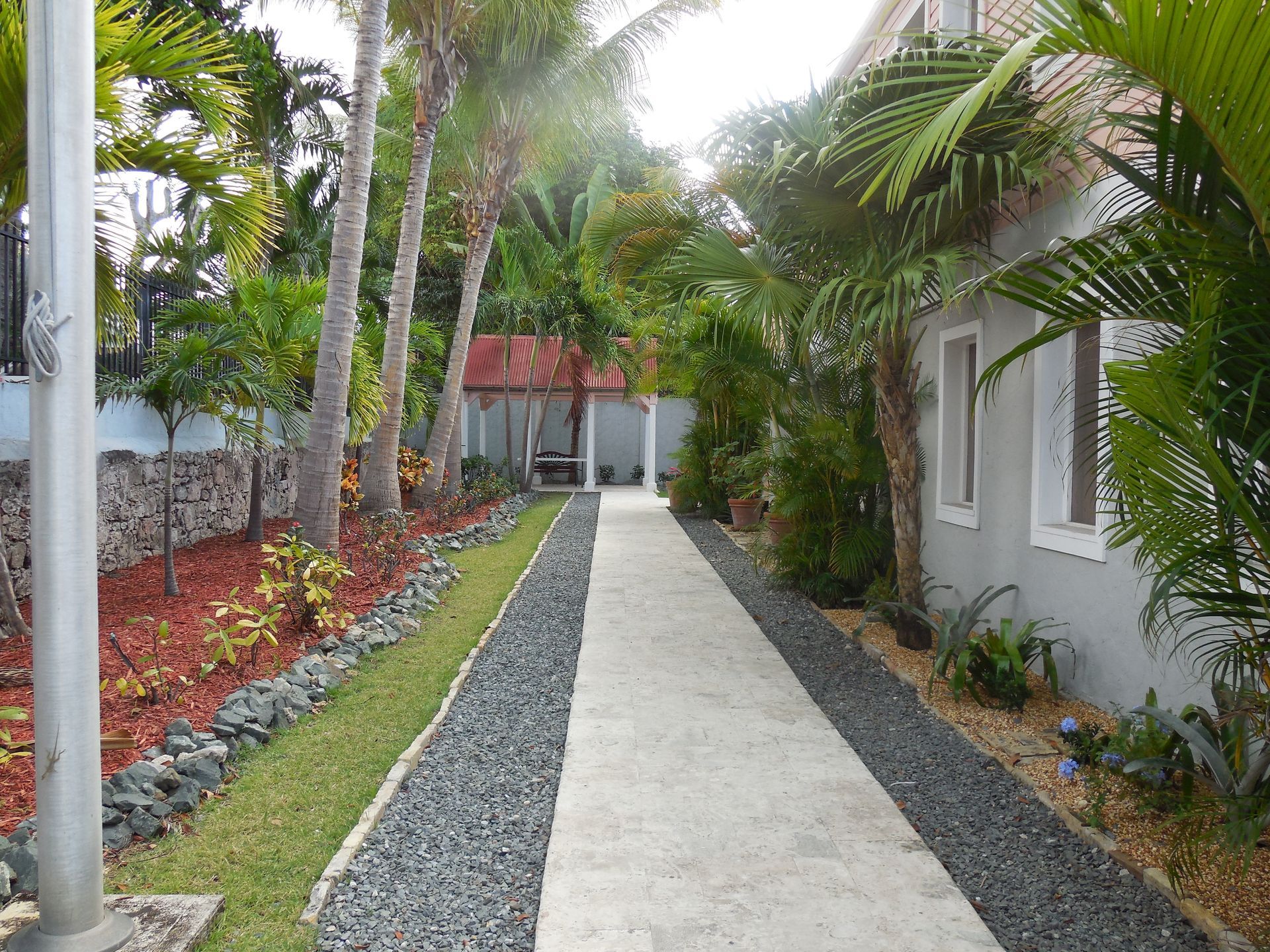 Looking up at palm trees against a blue sky