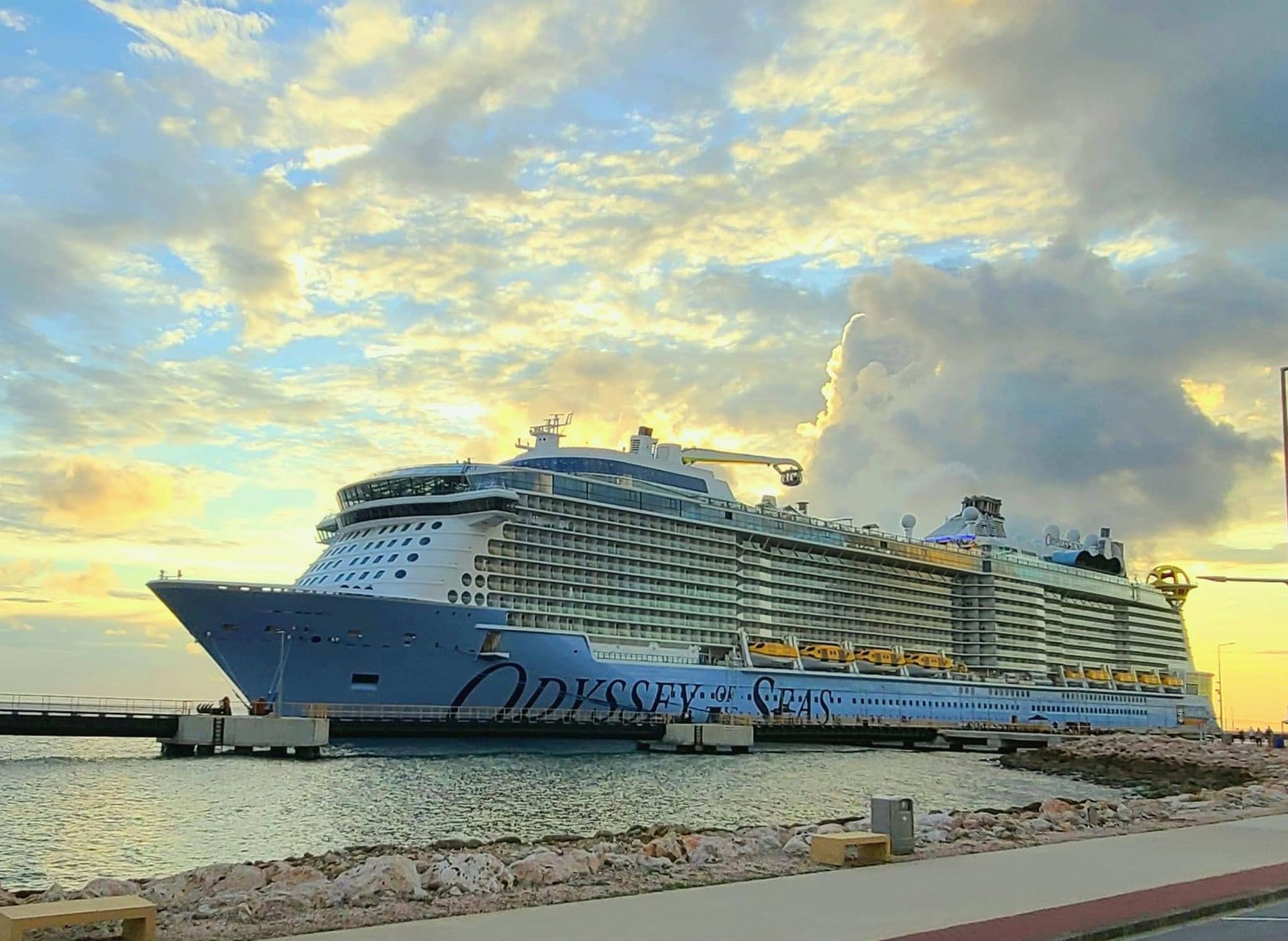 A person is holding a pineapple in a bag in a grocery store.