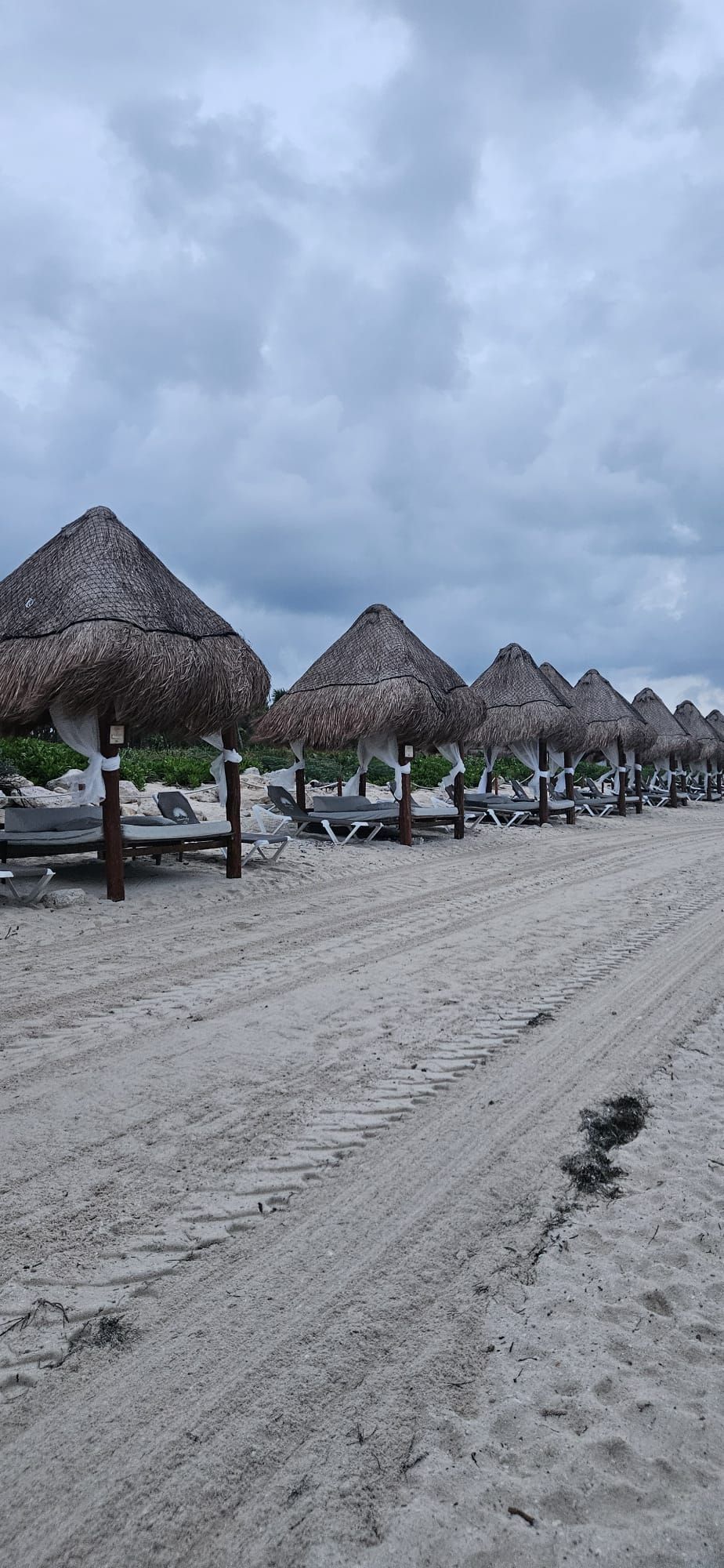 A swimming pool surrounded by chairs and umbrellas at a resort.