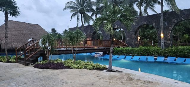 A person is holding a pineapple in a bag in a grocery store.