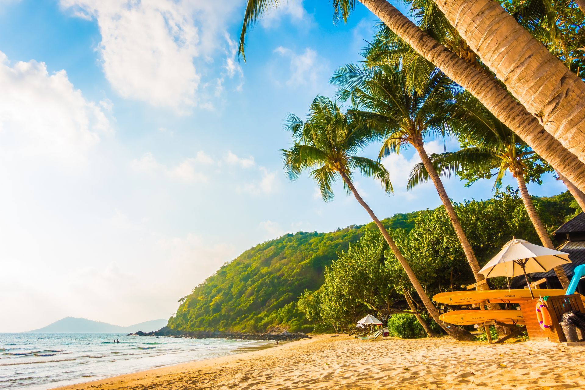 A beach with palm trees and umbrellas on a sunny day