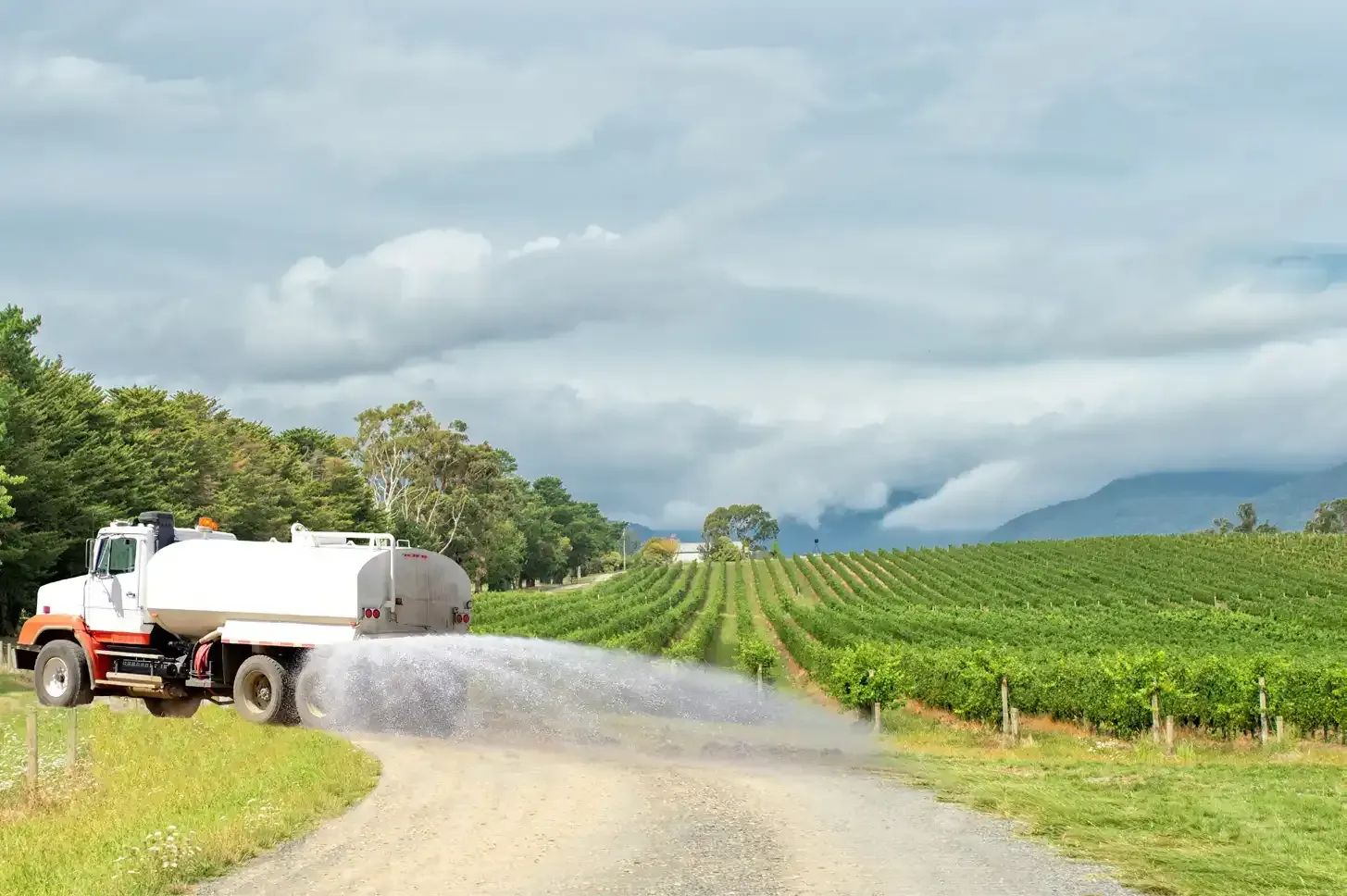 A truck is spraying water on a dirt road in a field.