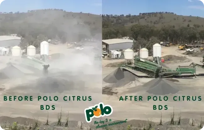Before and After Polo's dust supressants