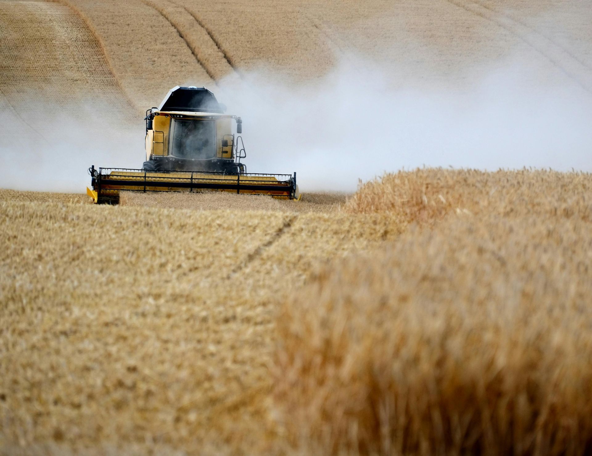 Blackwater Comparison