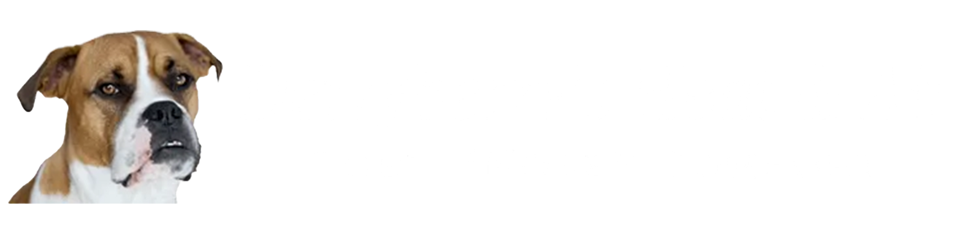 Close-up of a dog's face with brown and white fur, set against a white background.