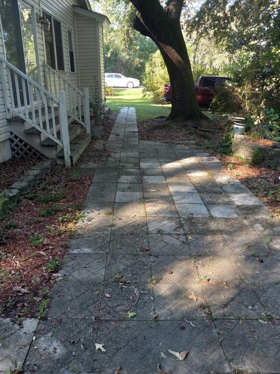 A sidewalk leading to a house with stairs and a tree.