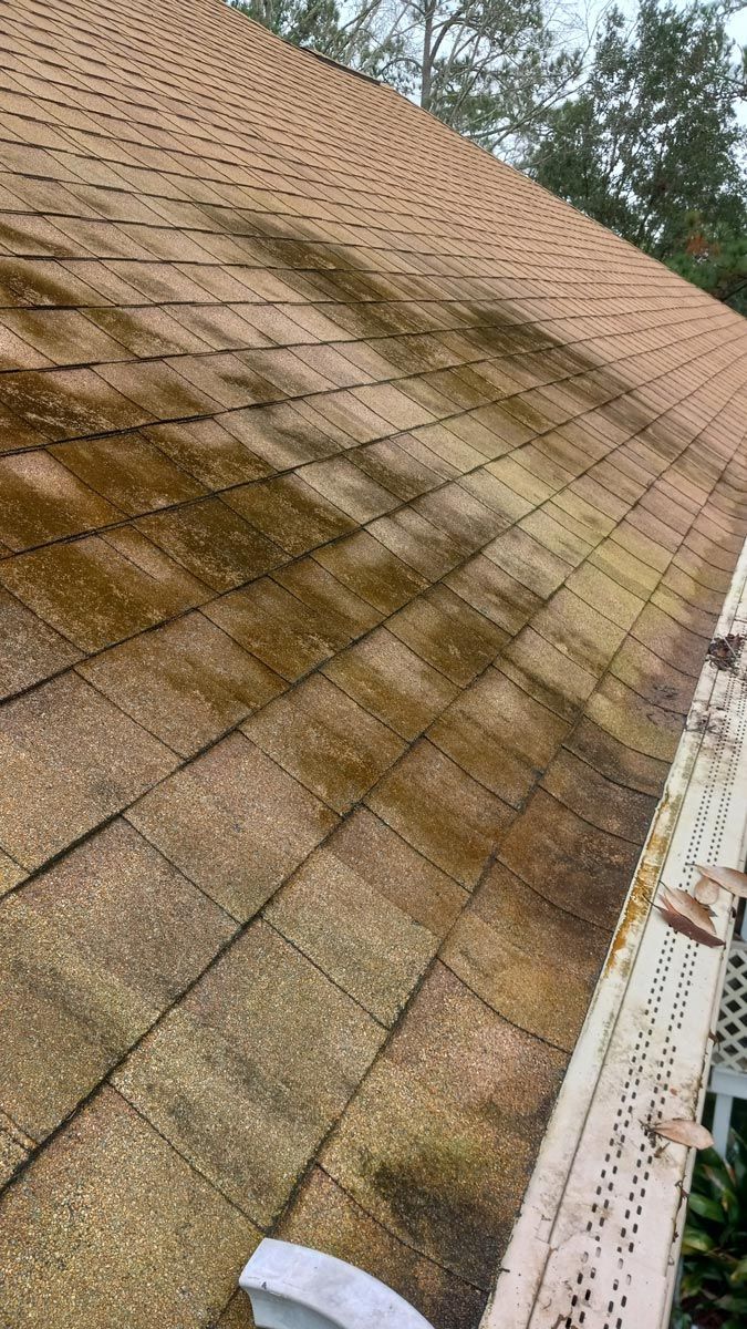 A roof with a lot of moss on it and a gutter.