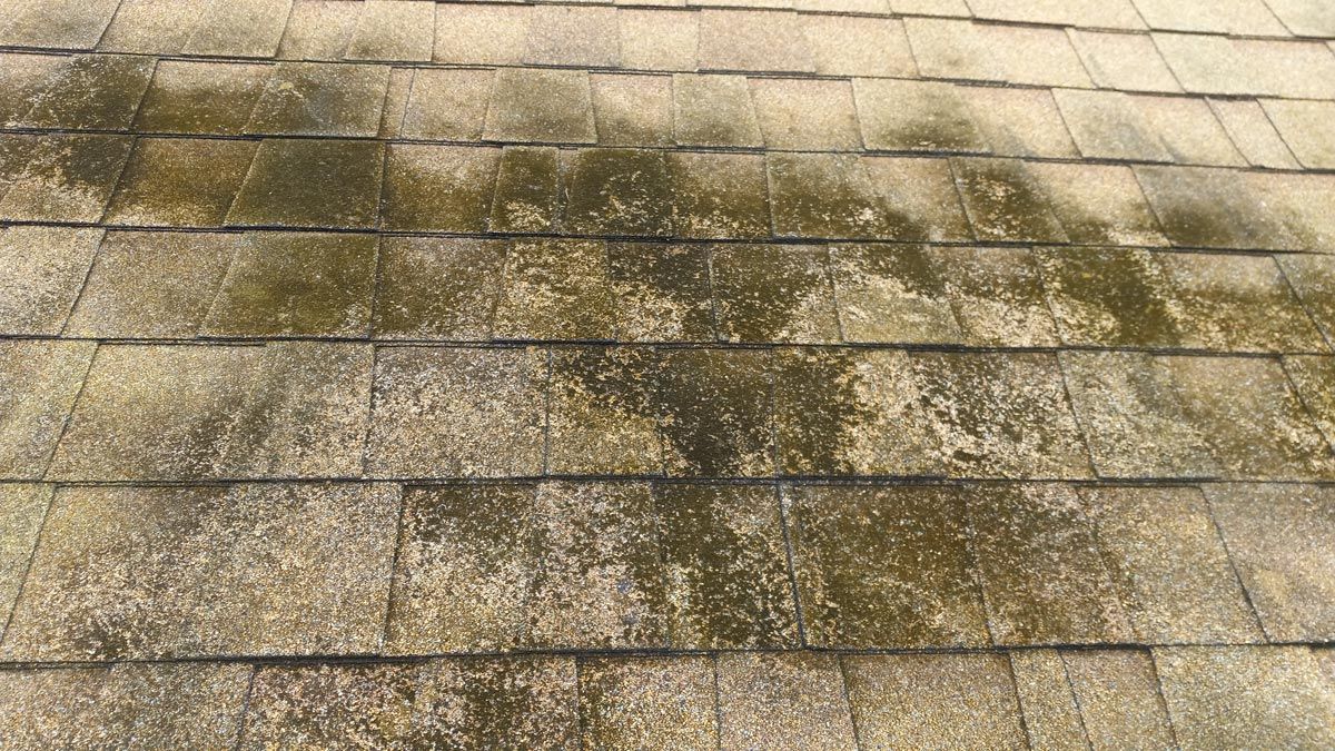 A close up of a roof with moss growing on it.
