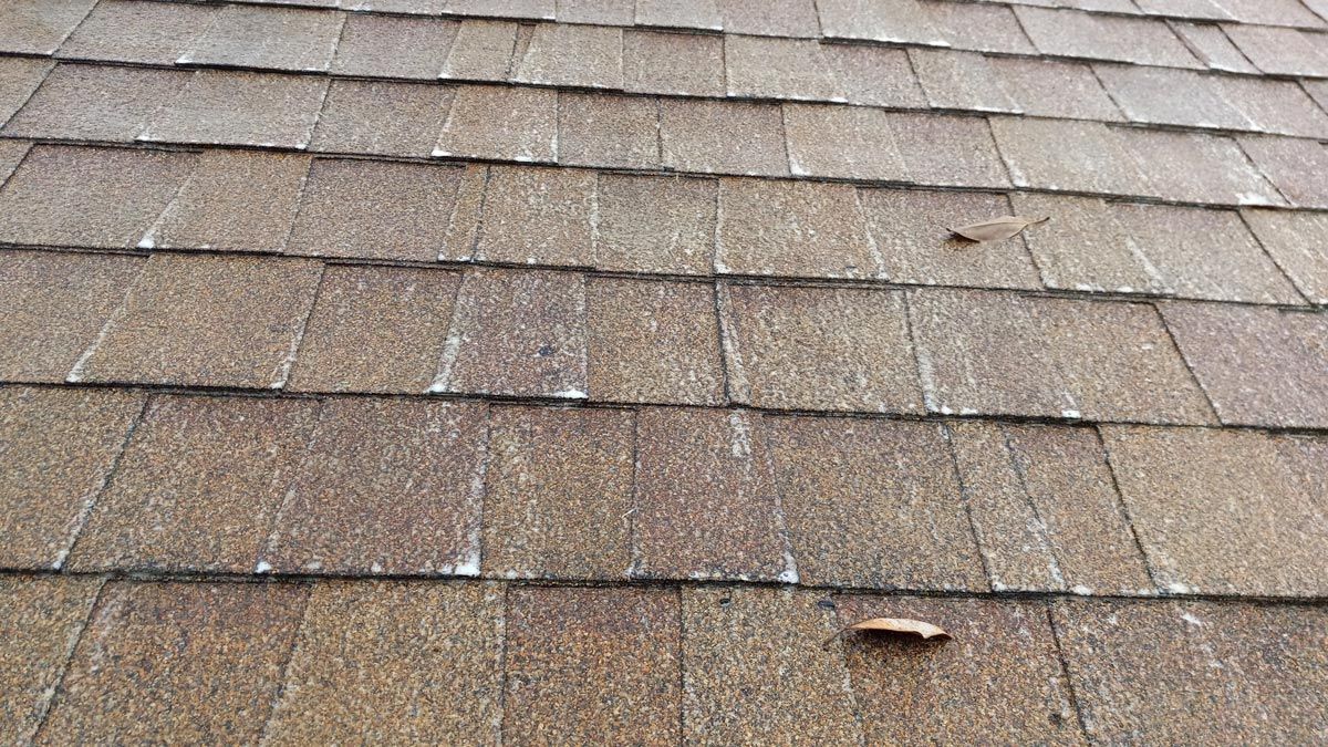 A close up of a roof with a leaf on it.