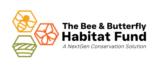 Logo: Three hexagons, colored yellow, orange, and green, containing icons of a bee, butterfly, and field. Text: Bee & Butterfly.