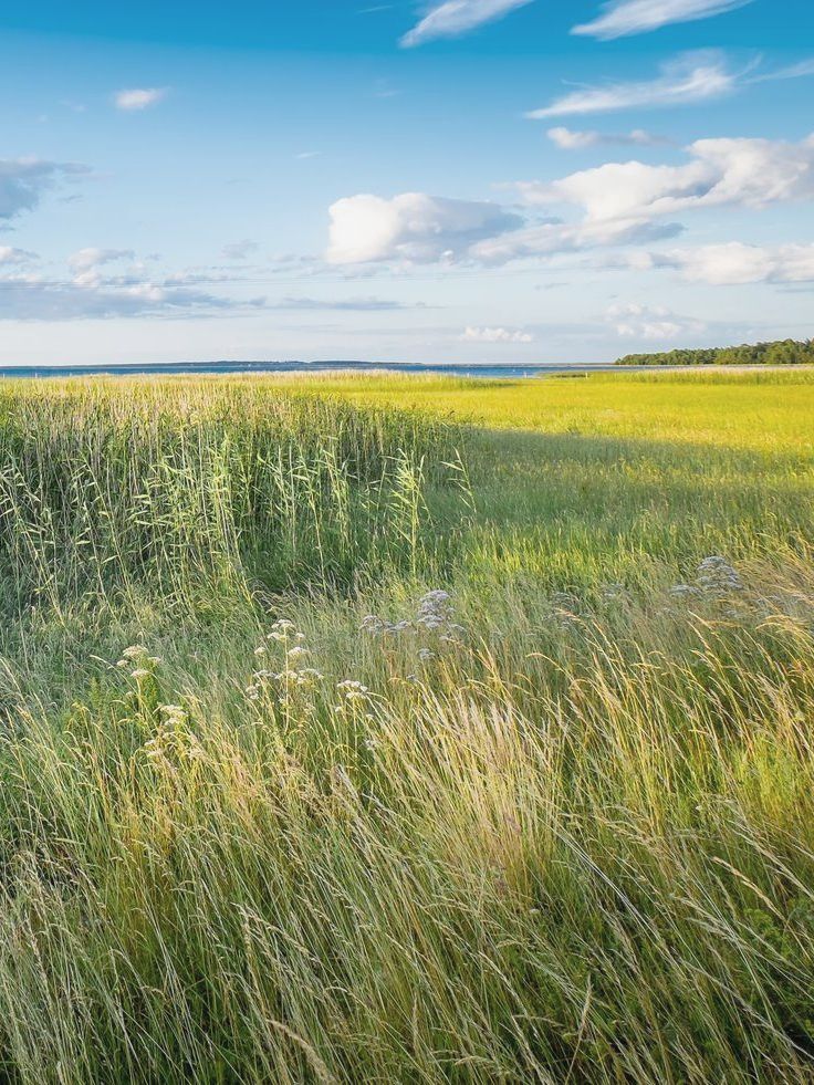 A wooden walkway leading to a gazebo overlooking a body of water at sunset.