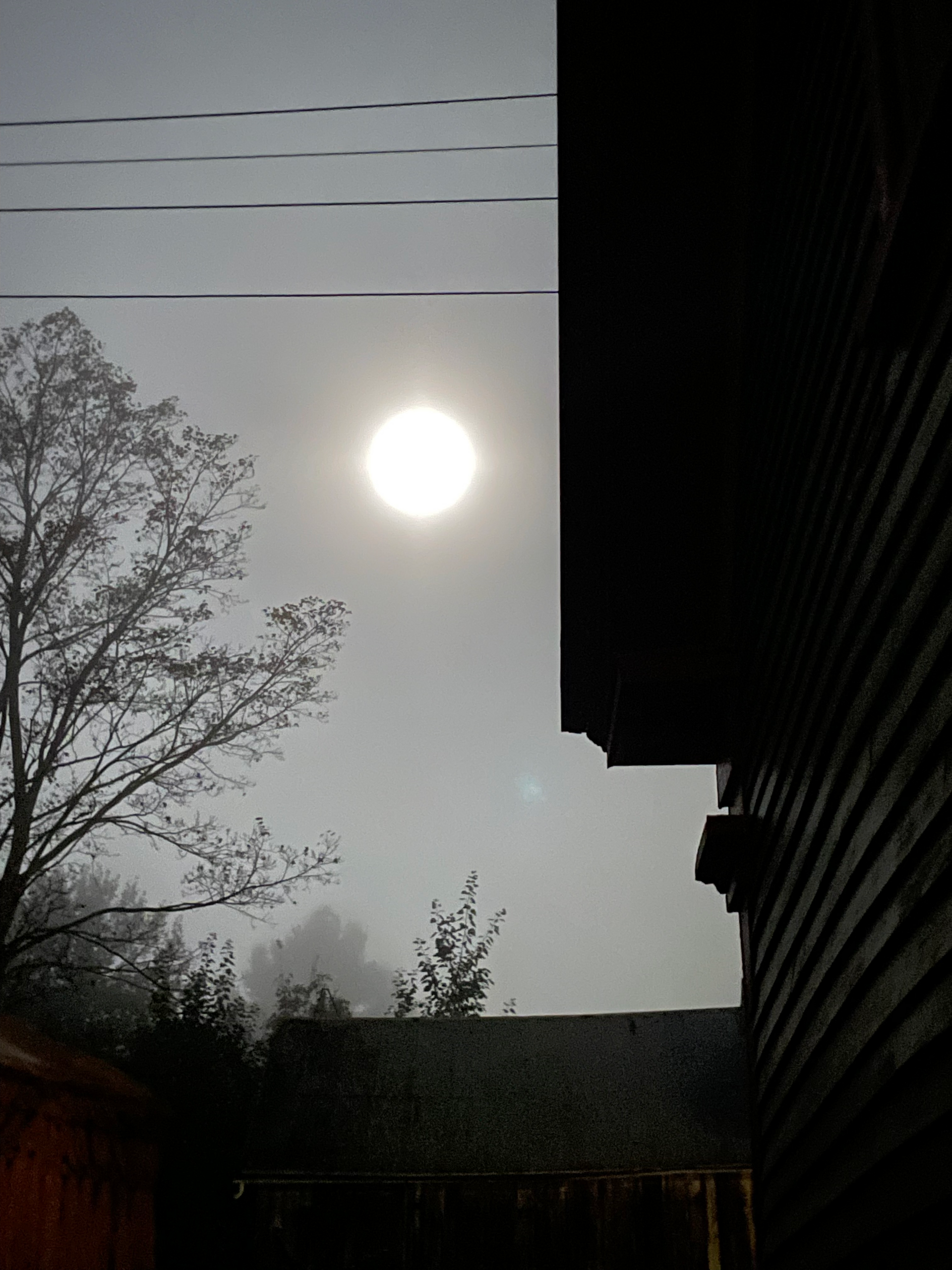 The sun is shining brightly in a foggy sky in Vermont's Northeast Kingdom