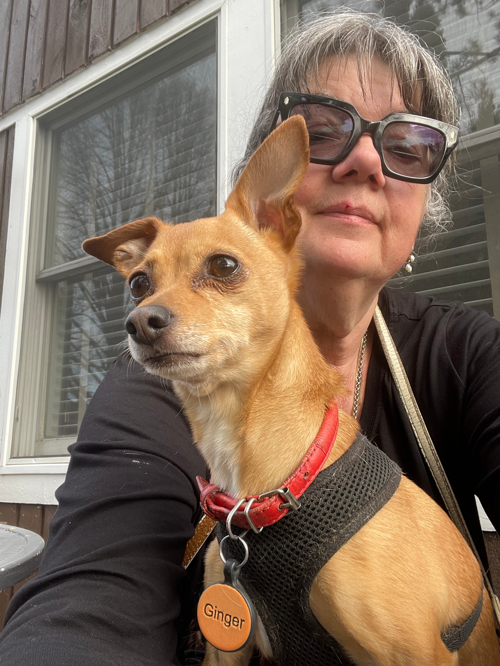 A woman is holding a small brown dog in her arms.