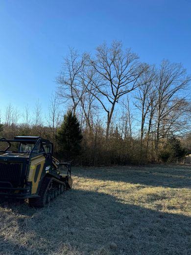 Yellow tracked vehicle on grass, trees in background, bright blue sky.