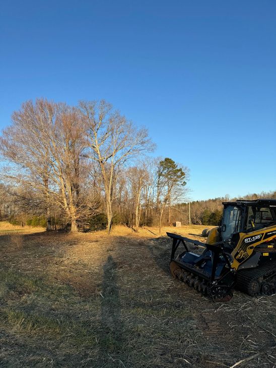 Skid steer clearing brush next to trees under a blue sky.