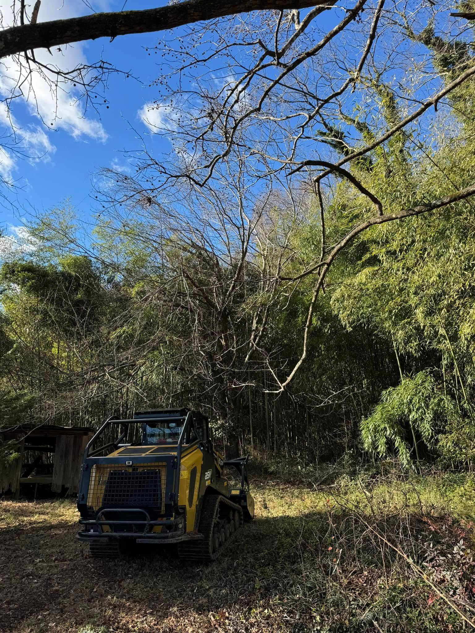 Yellow forestry machine clearing brush in wooded area. Sunny, blue sky with clouds.