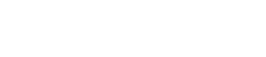 Buena Vista Property Management Logo - Click to go to home page