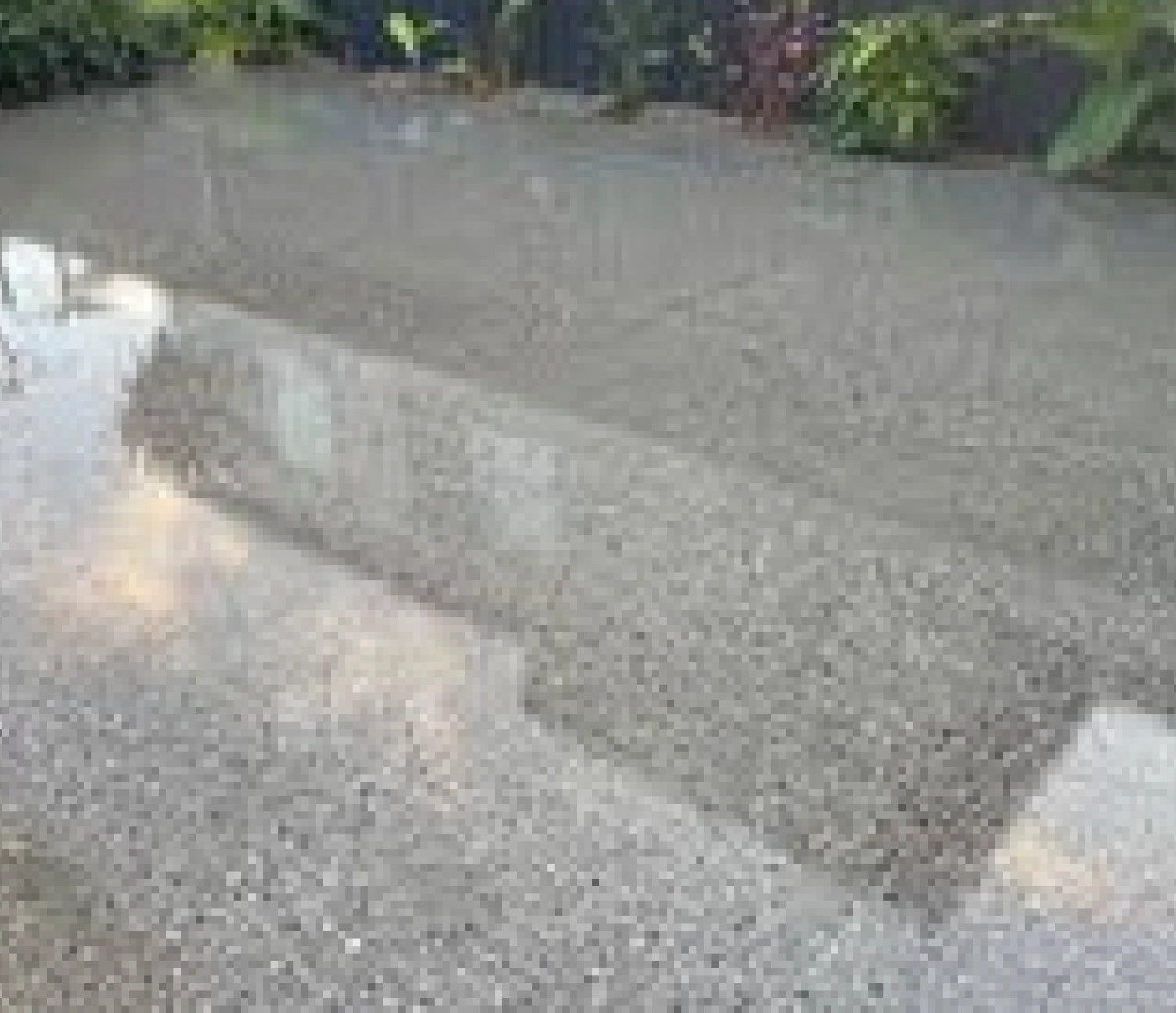 A close up of a shiny concrete floor with plants in the background.