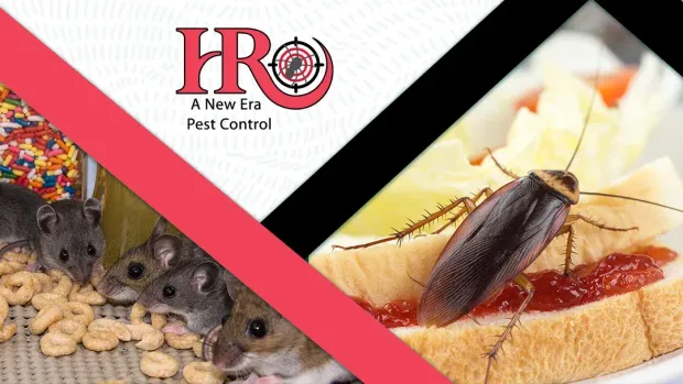 Logo of pest control company next to a cockroach on food and mice eating cereal.