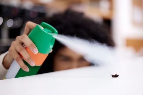 Person sprays insecticide on a cockroach with green and orange can.