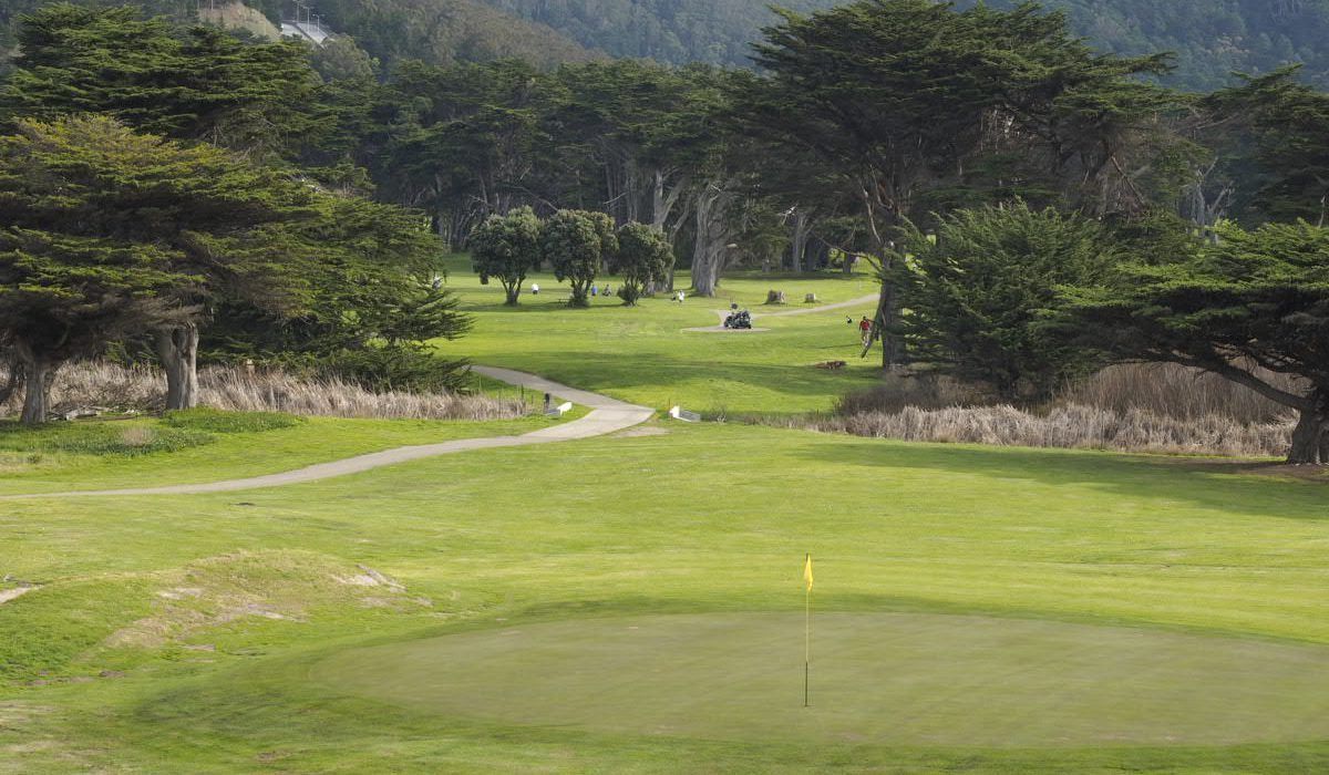 A golf course with trees and a path going through it.