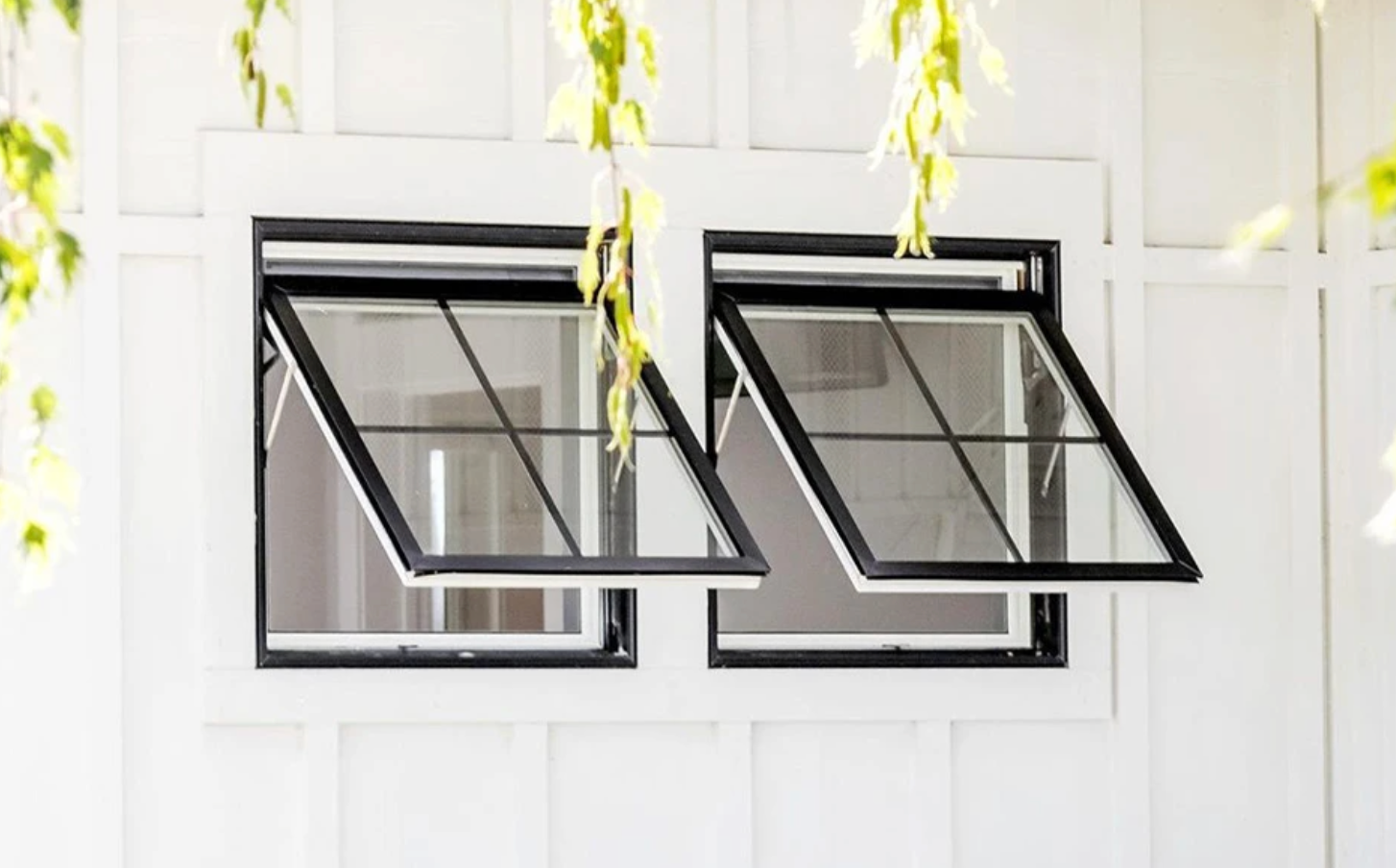 Two white framed windows, open outwards, black frames, on a white building exterior. Green foliage above.