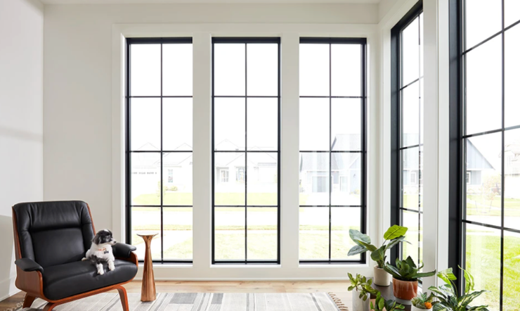 Room with large, grid-paned windows, a black armchair, and potted plants on a rug.