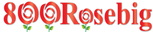 800rosebig