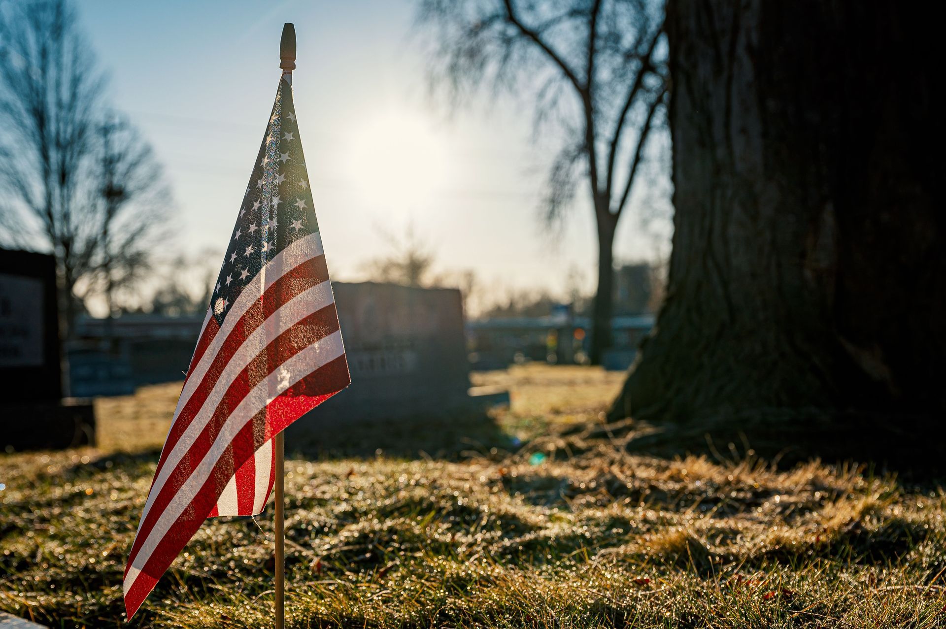 Small American flag planted in grass at sunrise with trees and a blurred building in the background